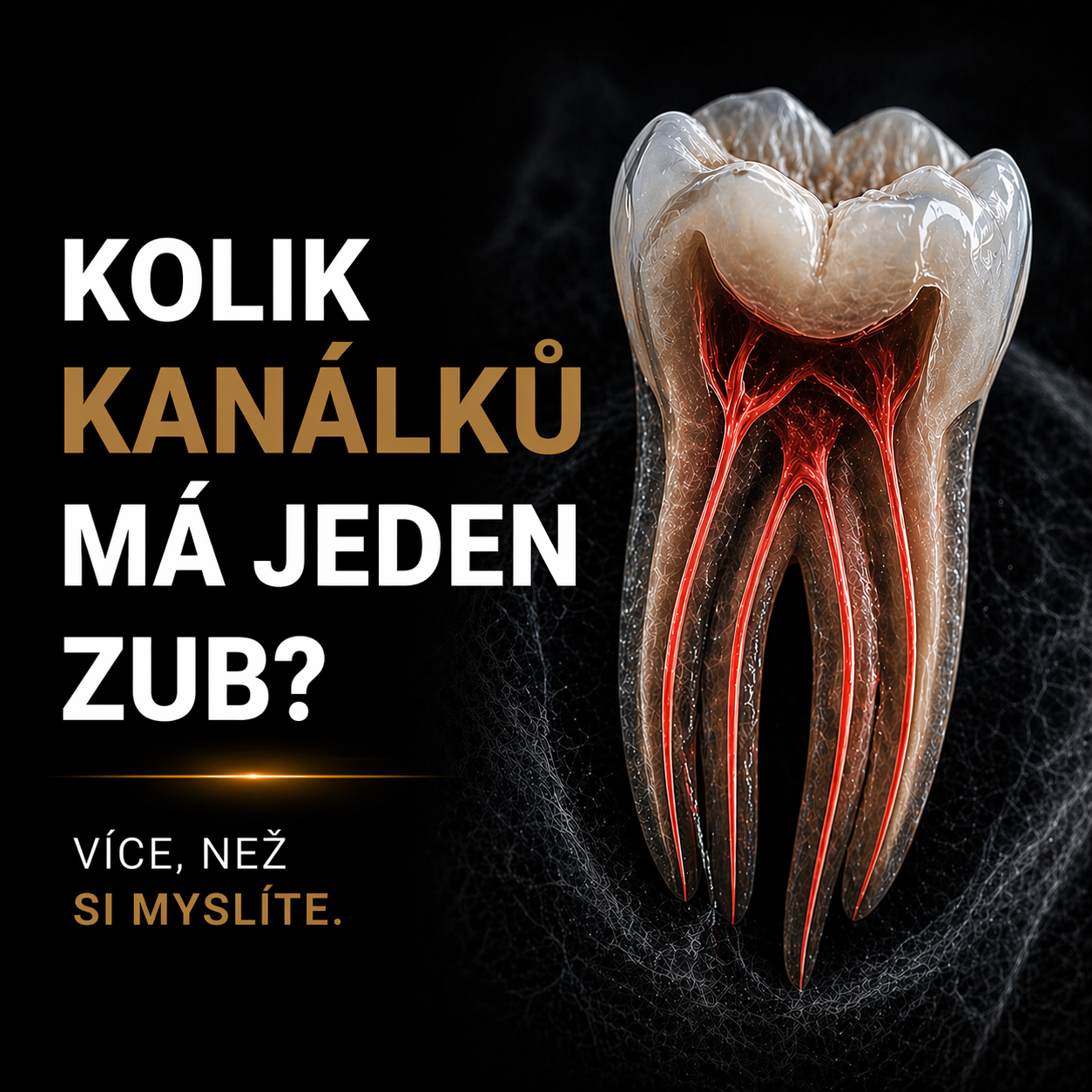 Počet kořenových kanálků podle typu zubu